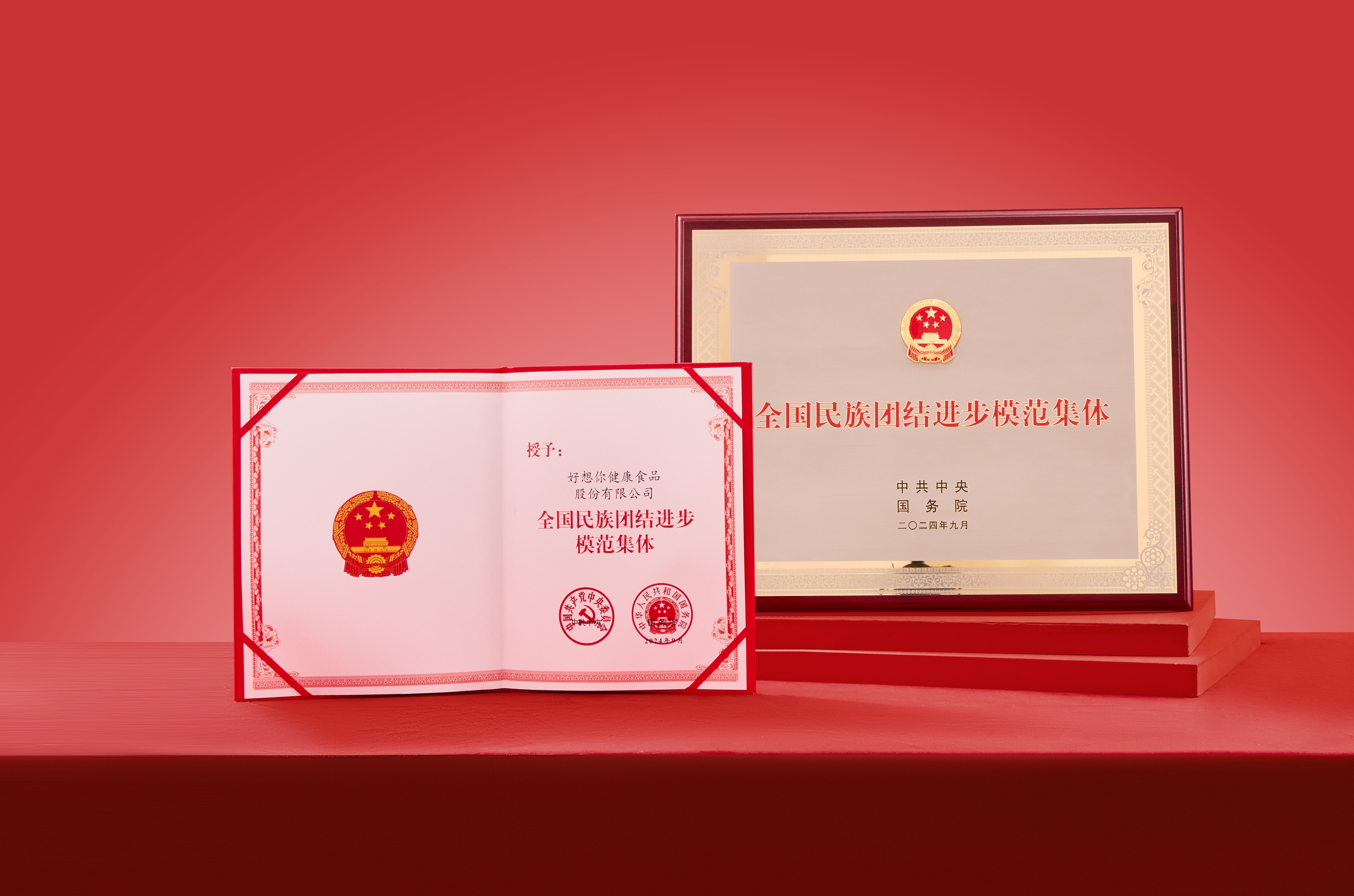 全國民族團結模范集體表彰（展開）.jpg